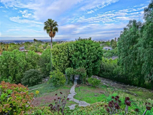 Backyard View