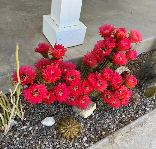 230 Delgada Avenue, Yucca Valley, California 92284