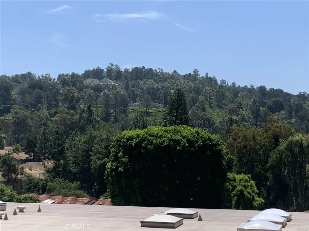 3271 San Amadeo P, Laguna Woods, California 92637 home-pic-12