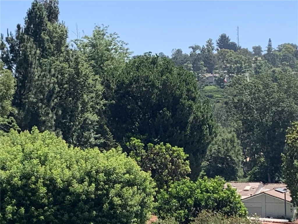 3271 San Amadeo P, Laguna Woods, California 92637 home-pic-3