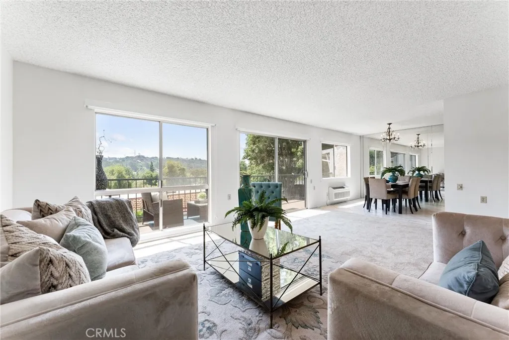 3271 San Amadeo P, Laguna Woods, California 92637 home-pic-2