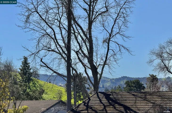 1451 Marchbanks Drive 4, Walnut Creek, California 94598