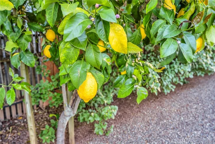4400 Oak Avenue, Lakeport, California 95453