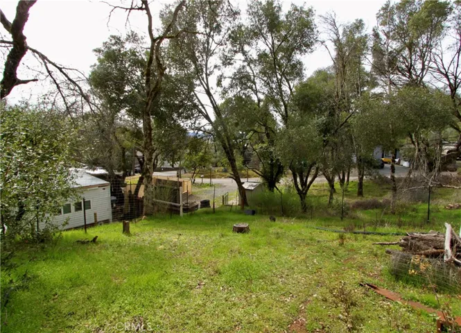 Large backyard​​‌​​​​‌​​‌‌​​‌​​​‌‌​​​‌​​‌‌​​‌‌​​‌‌​​​​ area