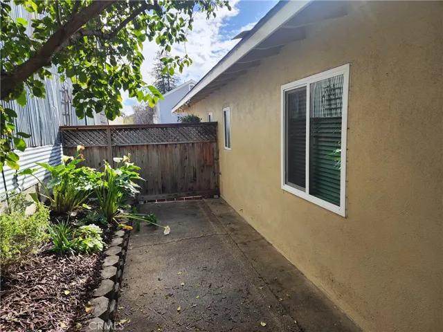 1908 Backyard