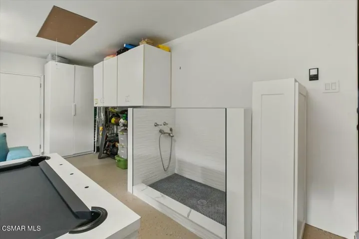 Pet Washing Station
