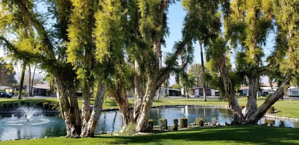 Grounds