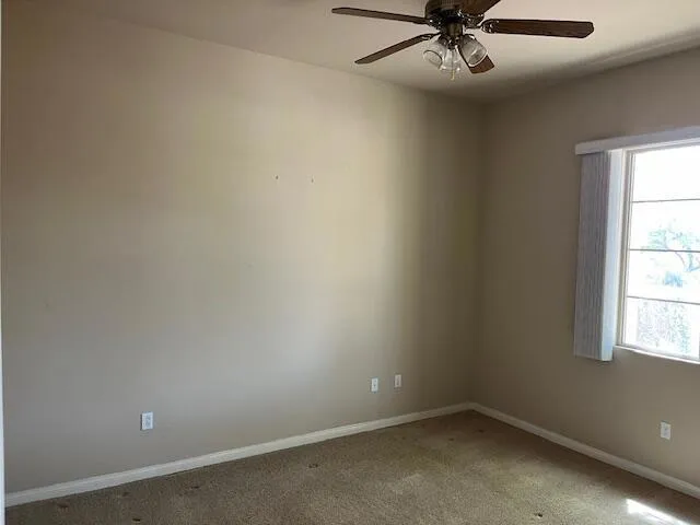 IMG_1787