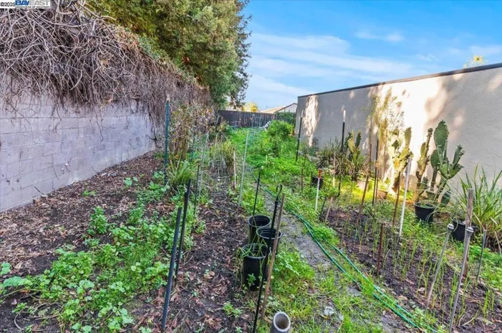 Community Area Garden in the complex.