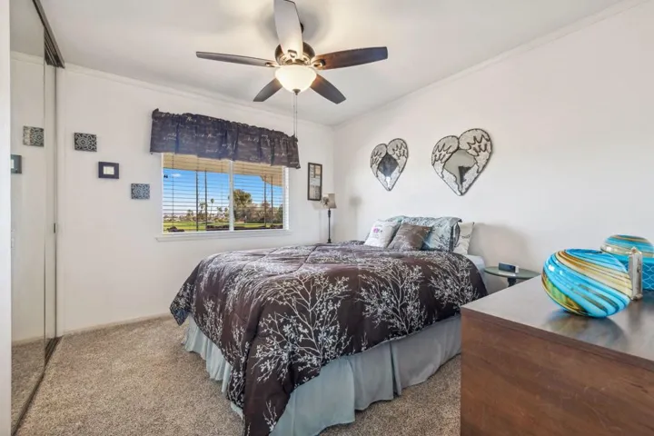 35-web-or-mls-8M4A4821