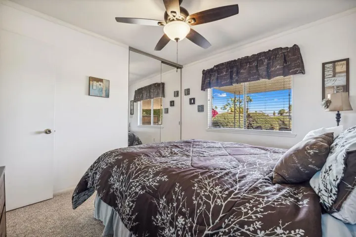 27-web-or-mls-8M4A4827