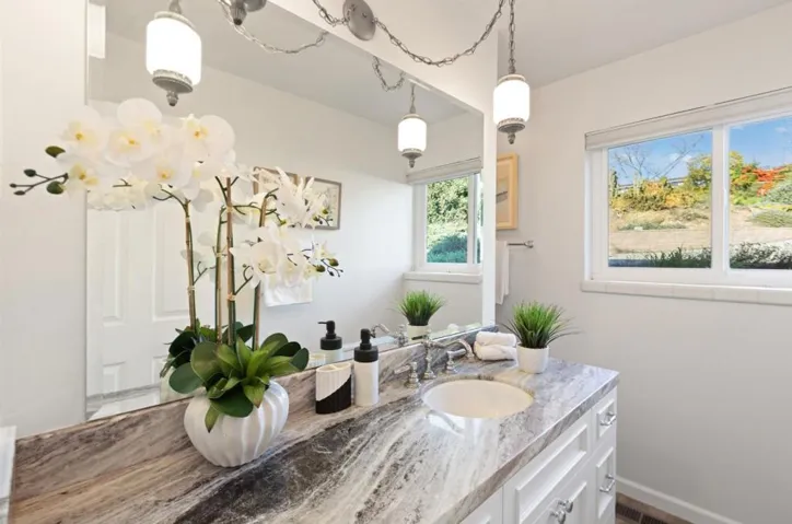 1439 Kahler Court, San Jose, California 95132