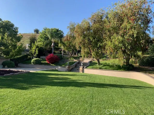 This is a view of the stairs and meandering trail to the top of the property.