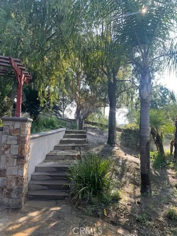 Your trail to the top of the property from meditation area