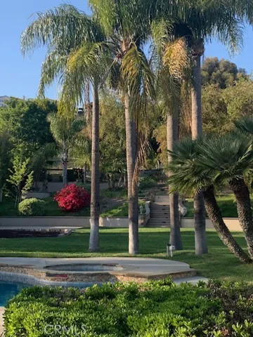 Look at these majestic palm trees by the spa area