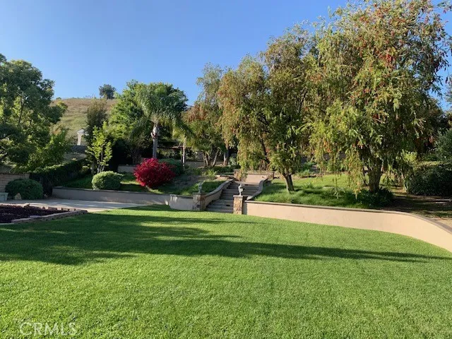 This could be your backyard