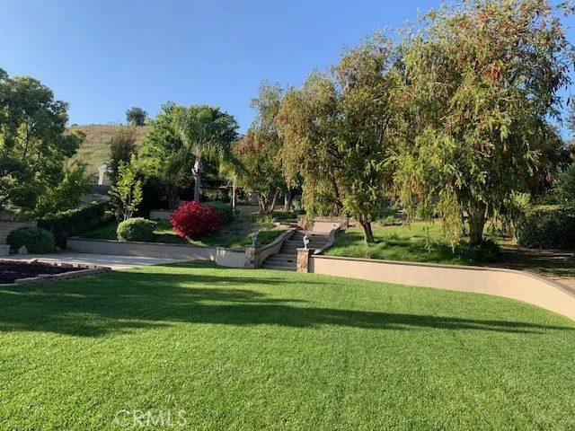 Look at the lush backyard in the summertime. Room for volleyball game, badminton or kick ball. Notice the stairway to the uppper terraced levels
