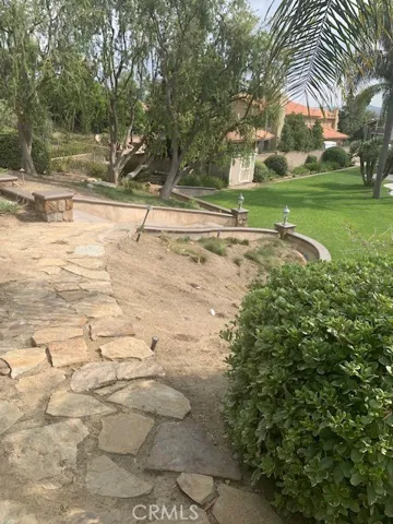 View of summertime from the terraced backyard