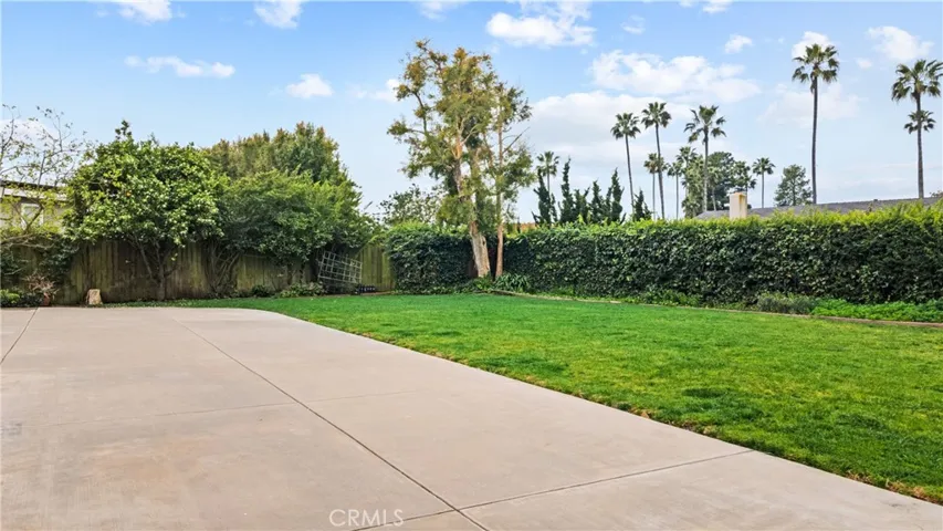 Backyard 2