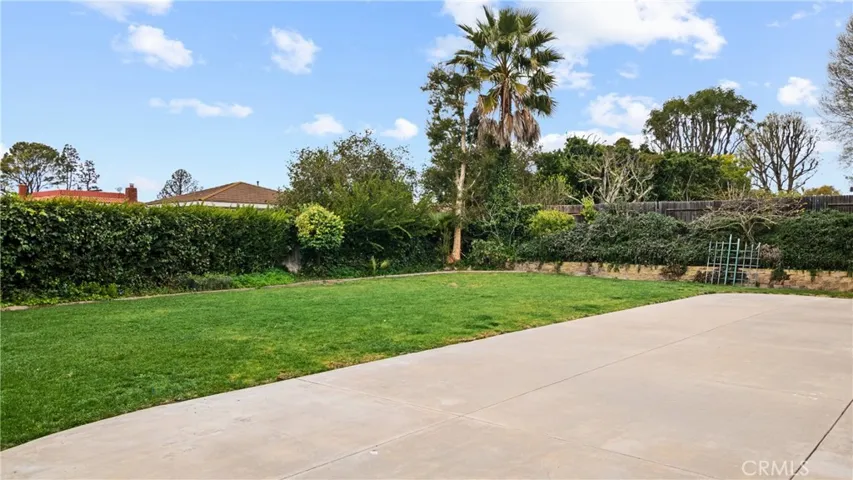 Backyard 1
