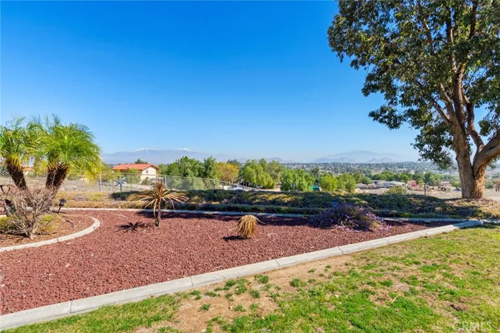 Rear Yard View