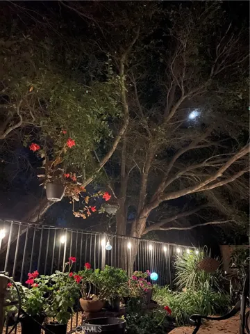 Beautiful lighting along the fence and in strategic parts of the back yard.