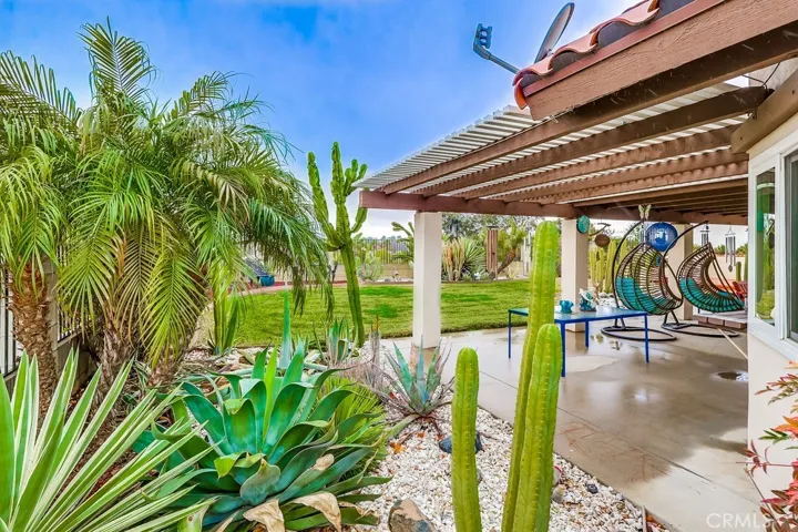Backyard and patio