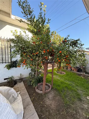 1328 W 67th Street, Los Angeles, California 90044