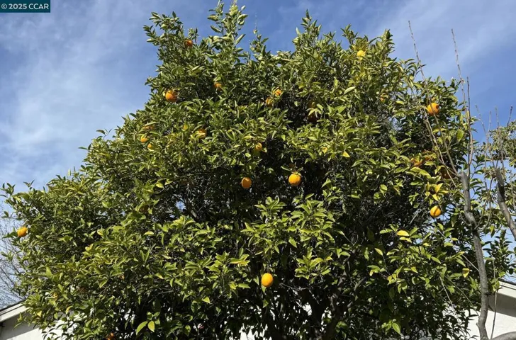 4025 Hitchcock Rd, Concord, California 94518