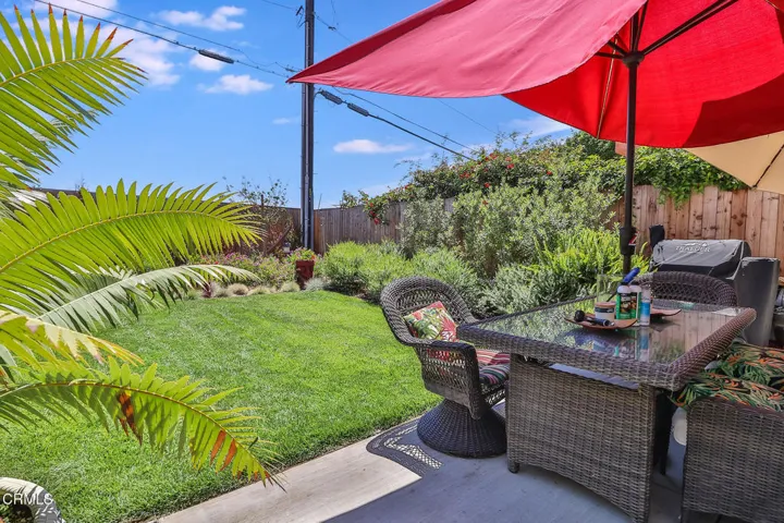 gBackyard1