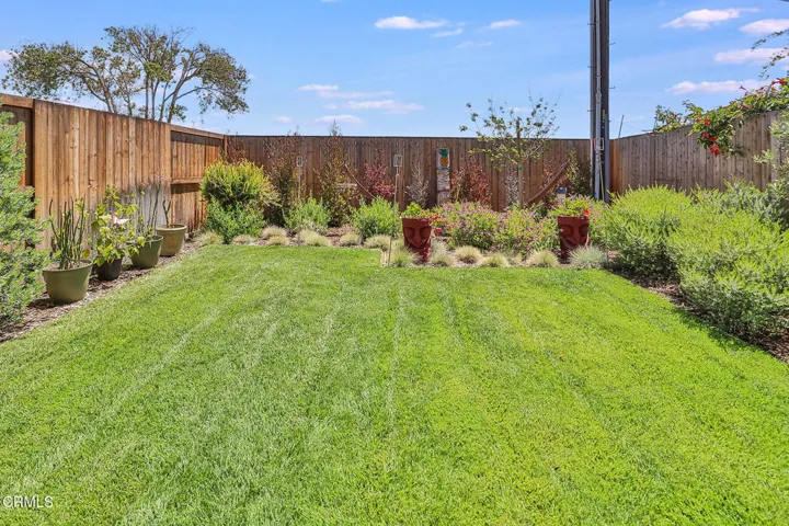 gBackyard3