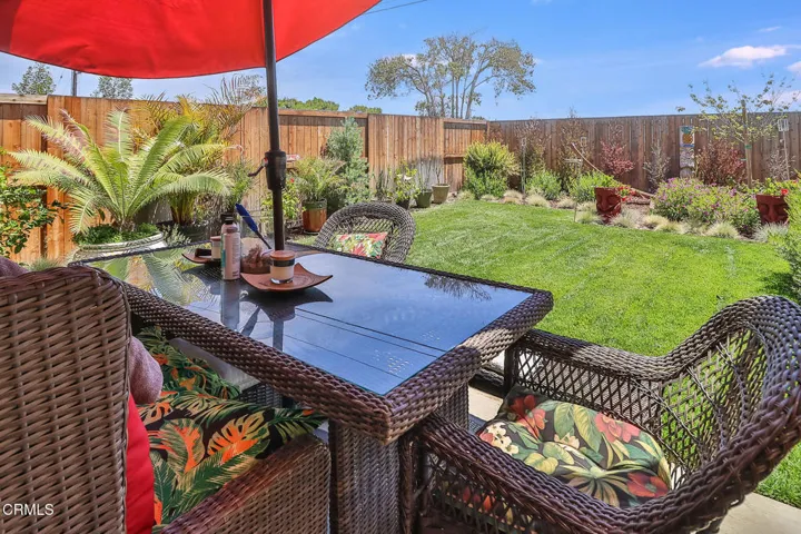 gBackyard2