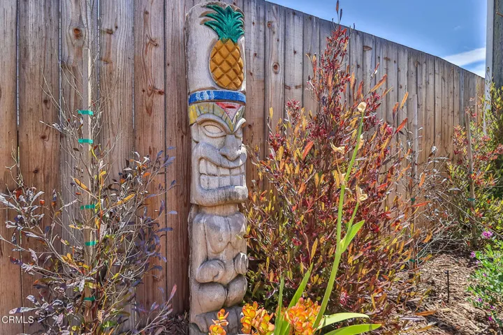 gBackyard5