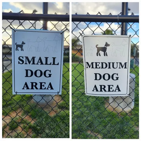 Dog Park
