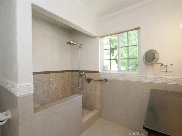 Primary Shower