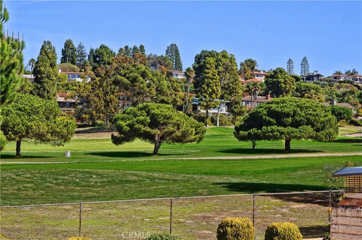 View from Primary Suite
