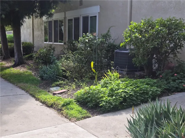 Garden with many fruit plants/trees
