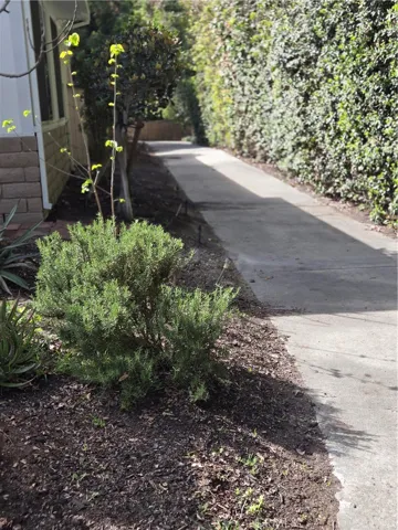 Sidewalk down back side of unit...private and pristine