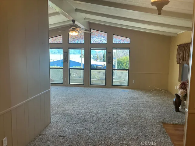 View from Dining room