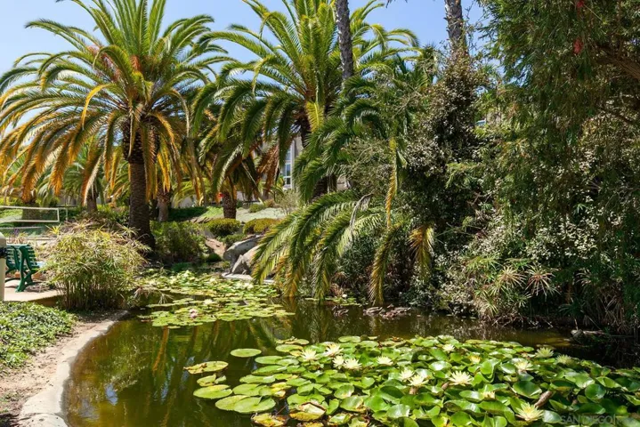 3050 Rue D’ Orleans 491, San Diego, California 92110