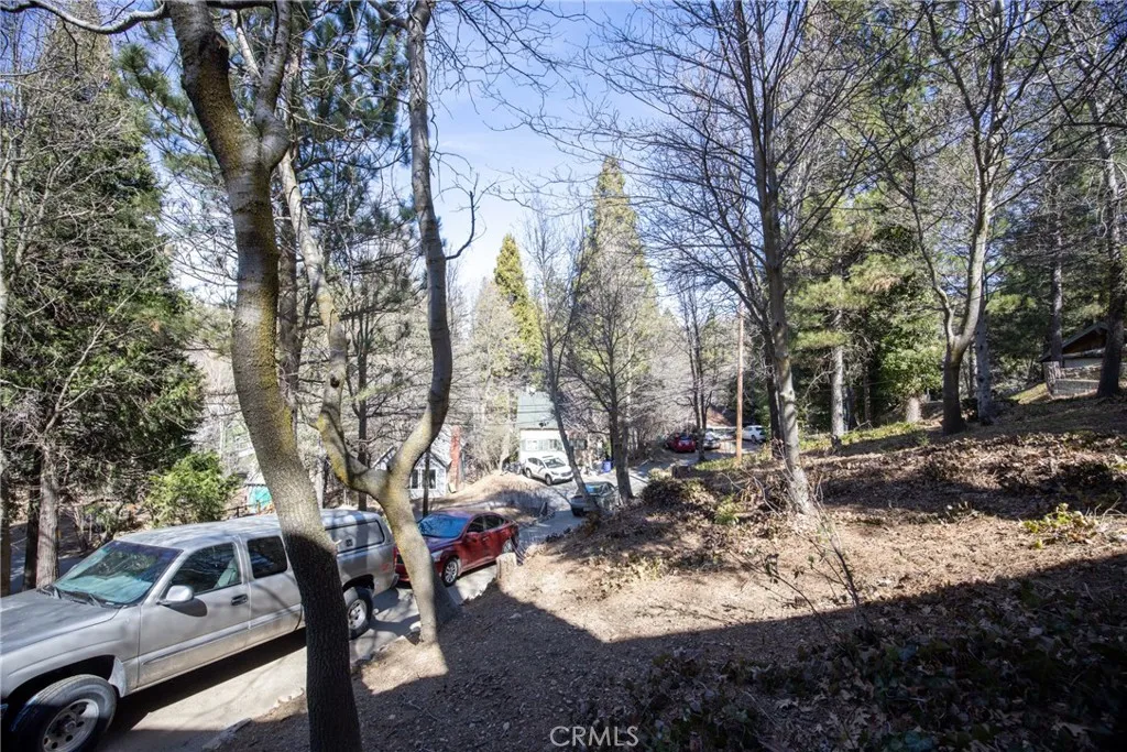 22945 Redwood Way, Crestline, California 92325 home-pic-62