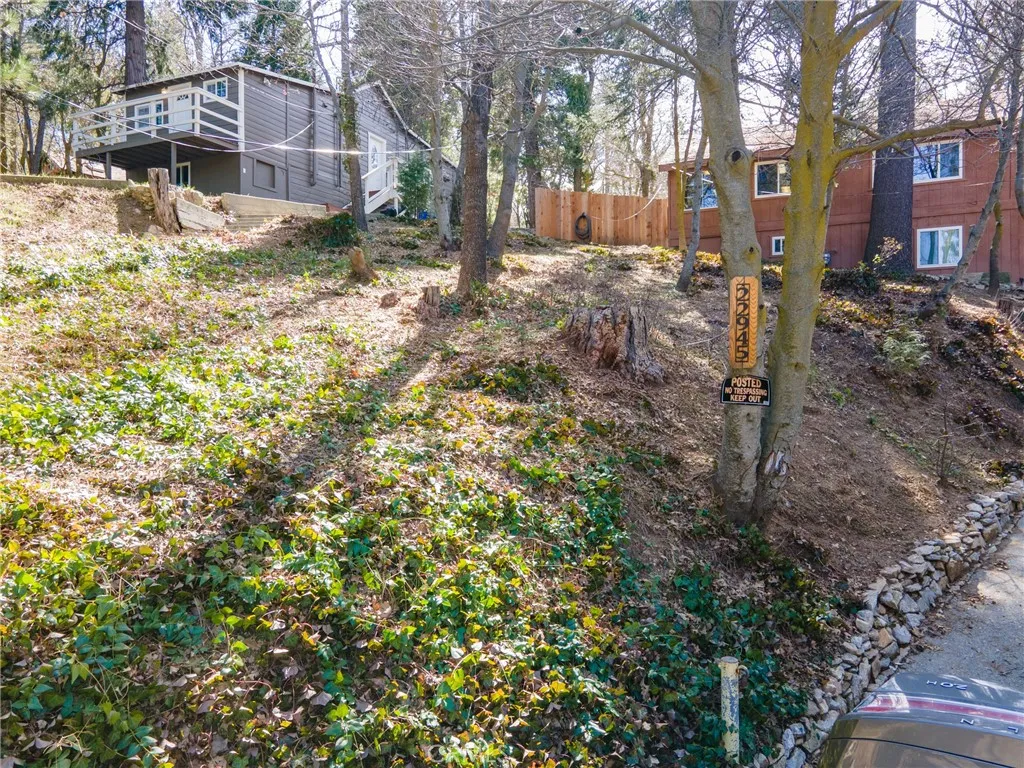 22945 Redwood Way, Crestline, California 92325 home-pic-6