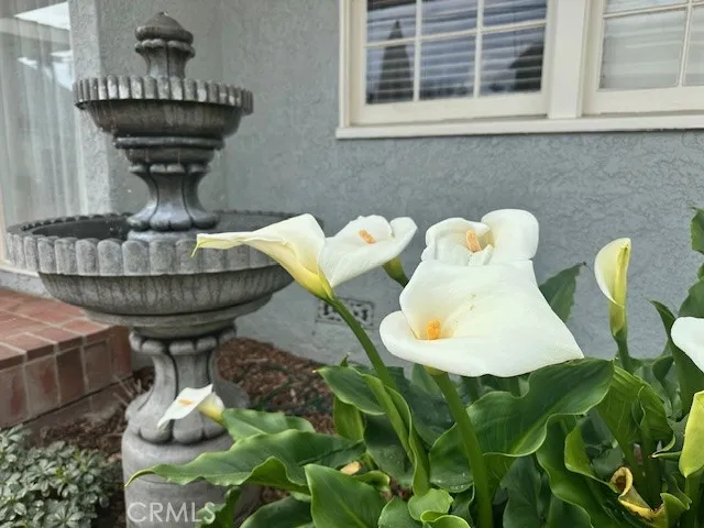 2652 Knoxville Avenue, Long Beach, California 90815