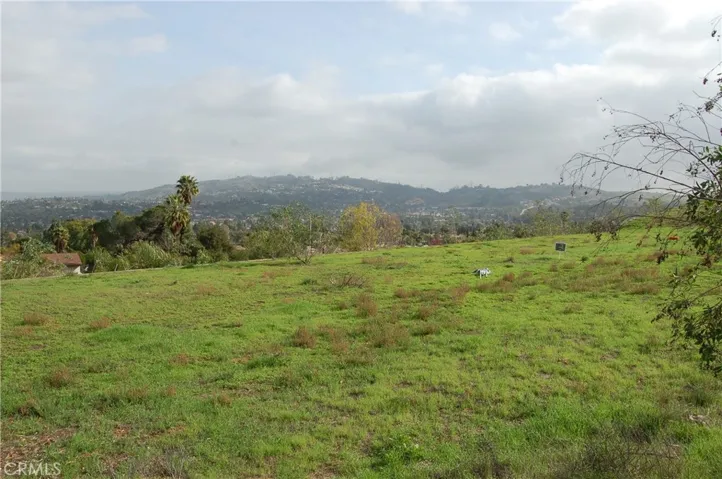 Hillside views