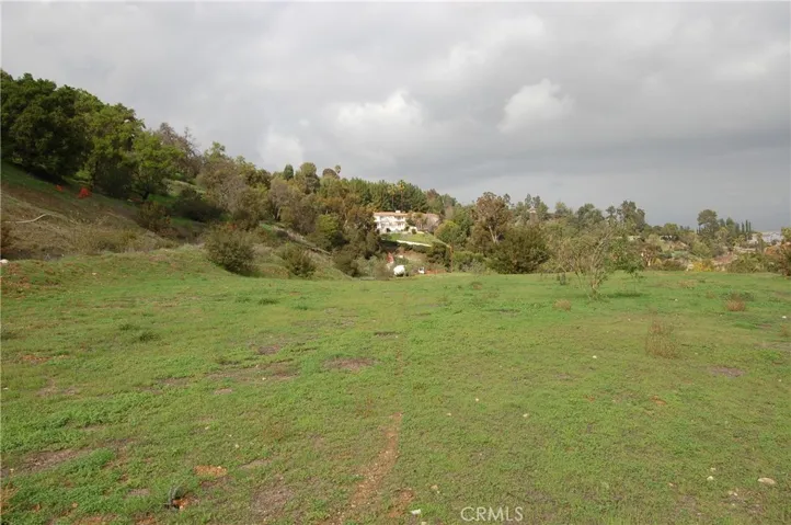 Lot 18