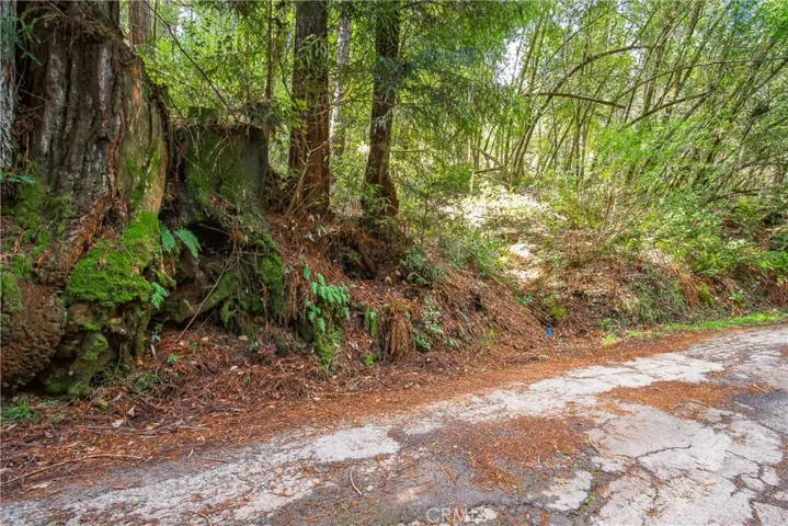 6185 Austin Creek Road, Cazadero, California 95421