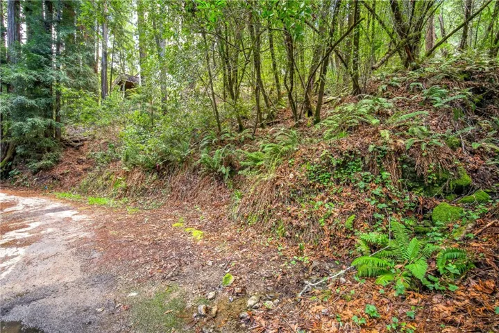6185 Austin Creek Road, Cazadero, California 95421