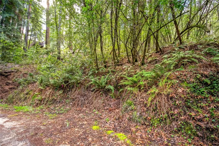 6185 Austin Creek Road, Cazadero, California 95421