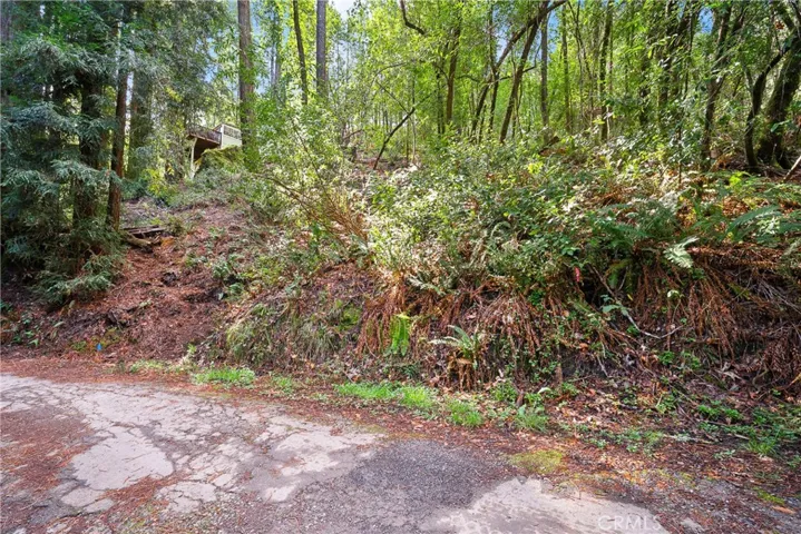 6185 Austin Creek Road, Cazadero, California 95421
