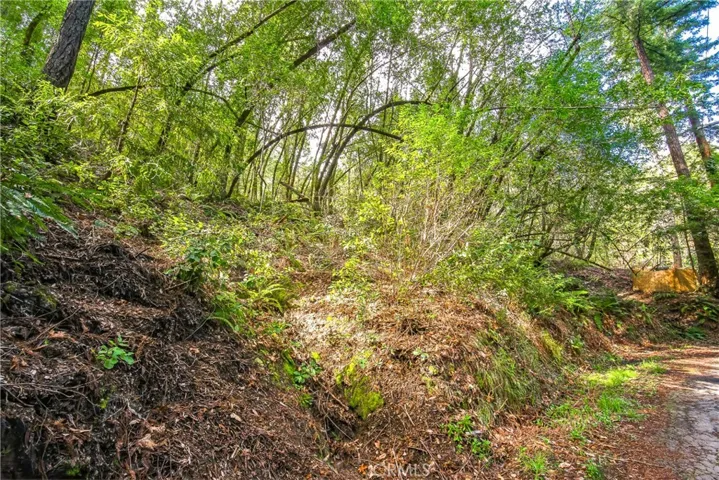 6185 Austin Creek Road, Cazadero, California 95421